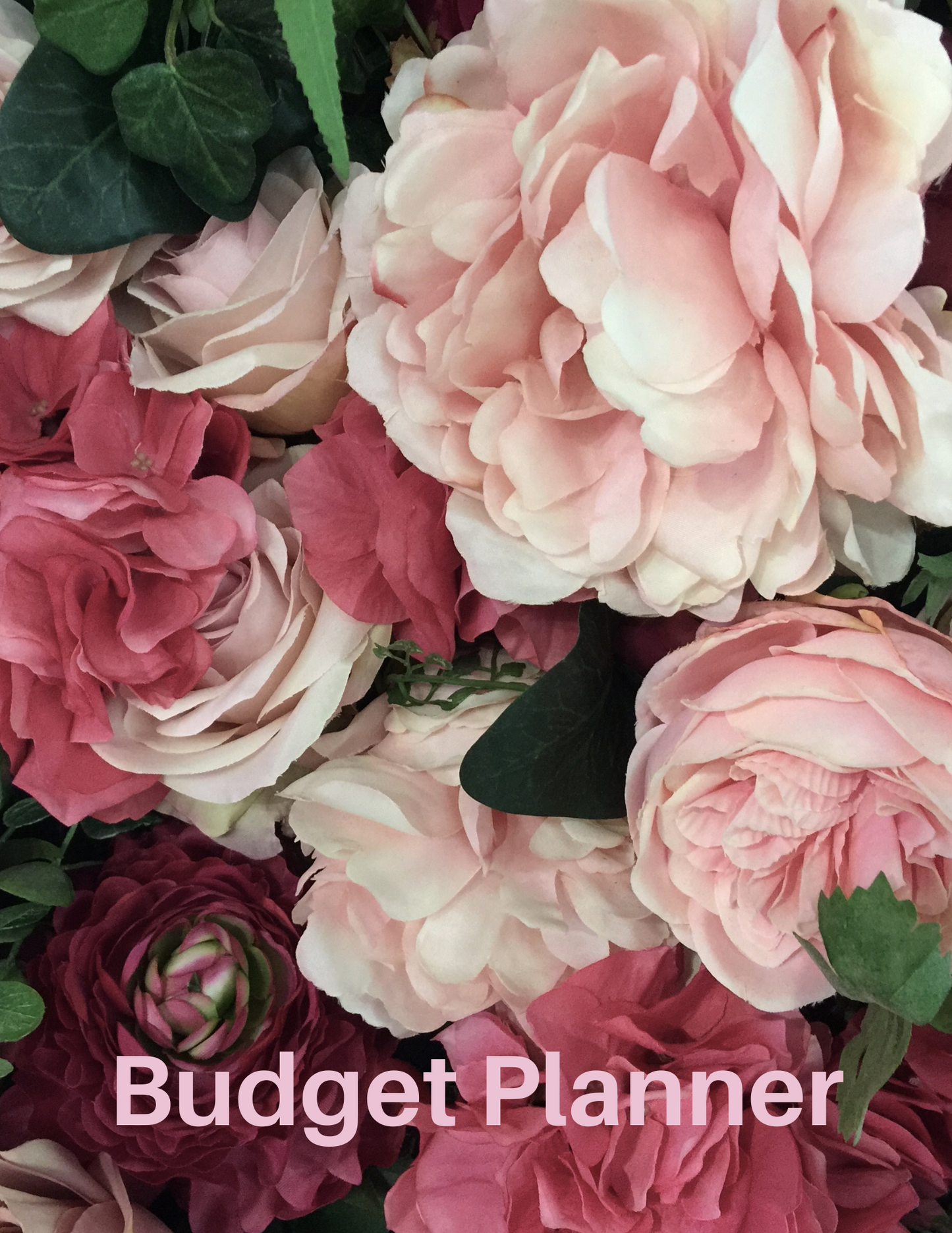 6 Month Printable Budget Planner ~ Floral Cover